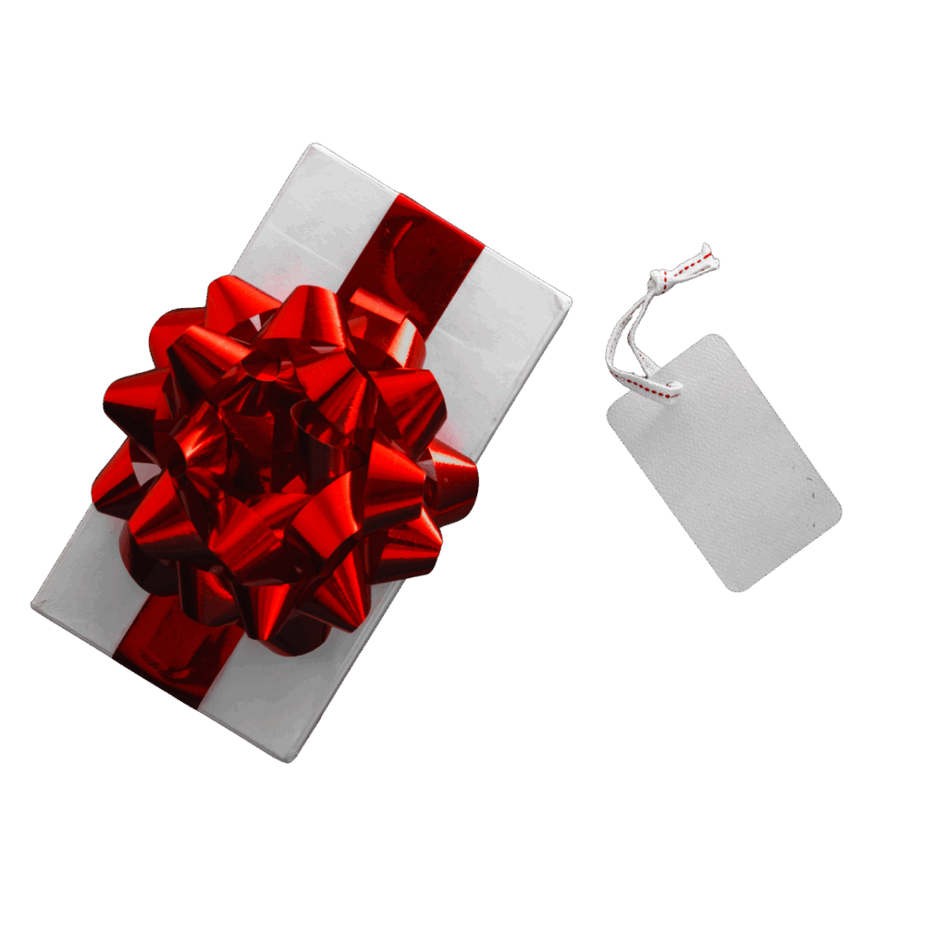 Caja de regalo con moño rojo de la marca Venaty Studio