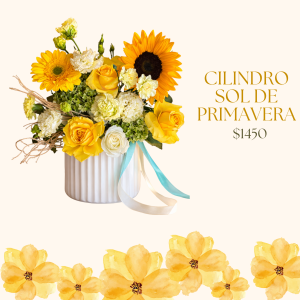 Cilindro sol de primavera