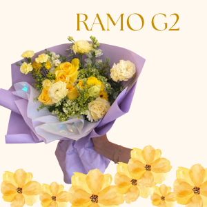 Ramo G2