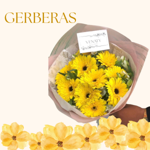 Ramo de 10 gerberas