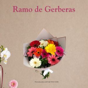 20 gerberas