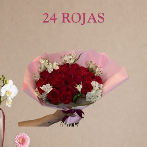 24 rojas