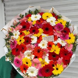 50 gerberas