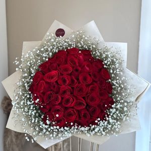 48 rosas con gitsofilia