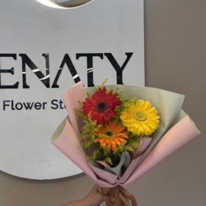 Gerberas mixtas