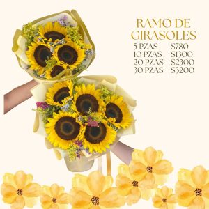 20 girasoles